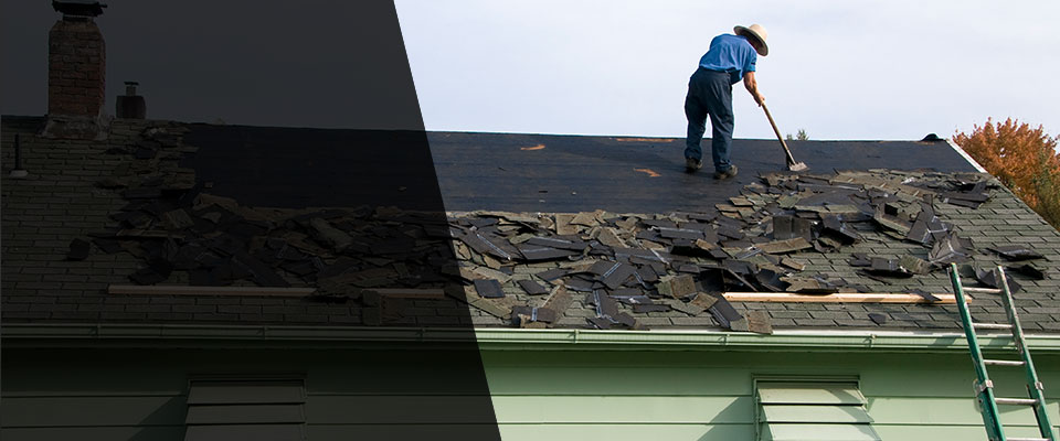Elmwood Roofing Contractors