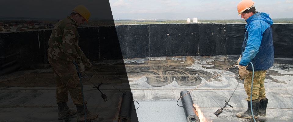 Elmwood Roofing Contractors